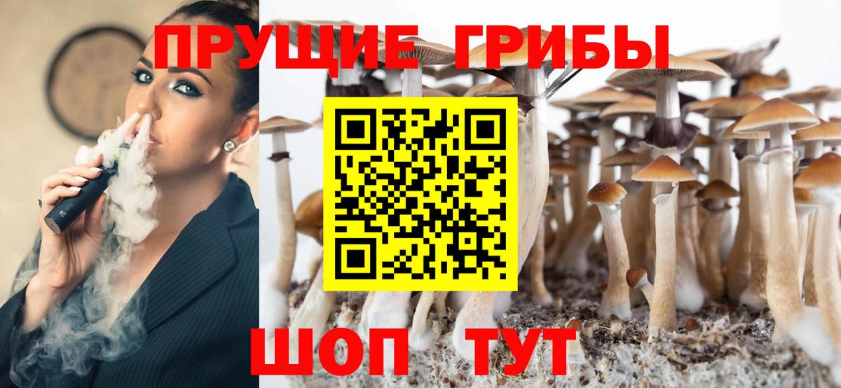 Псилоцибиновые грибы Psilocybe Чита