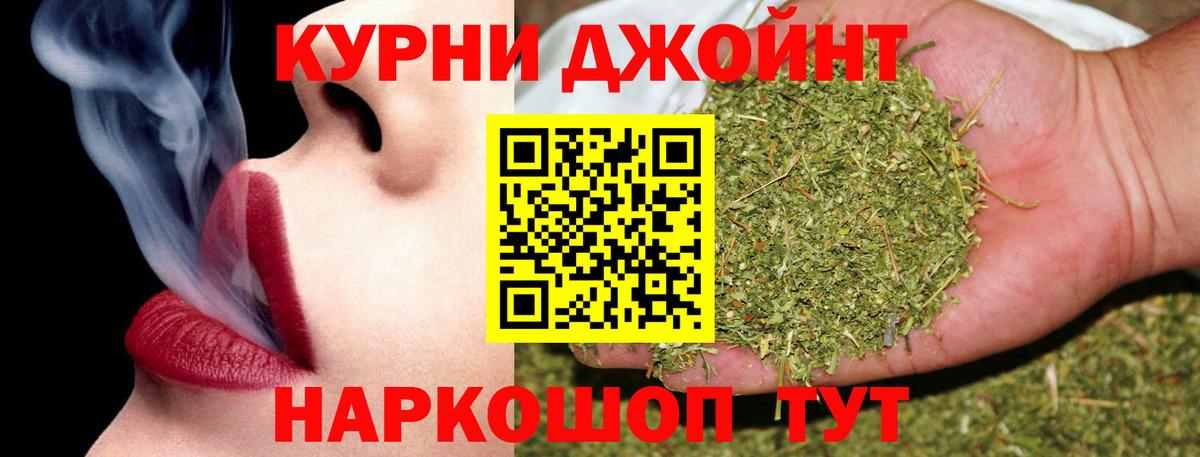 Бошки марихуана сатива Чита
